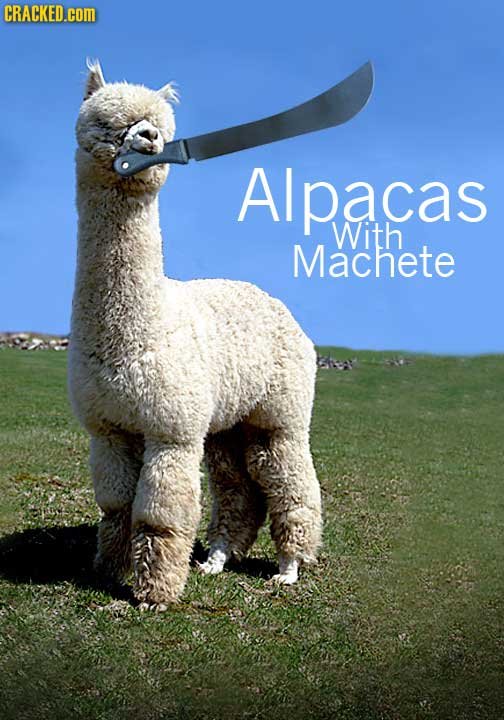 alpacas-with-machete.jpg